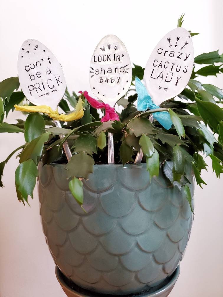 Cactus Plant Marker, Stamped Spoon, Funny Cactus Gifts, Plant Marker, Funny Garden Gift, Stamped Spoon, Garden Gift Set, Funny Planter
